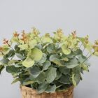 Arranjo De Eucalipto Artificial No Cesto De Fibra | Formosinha